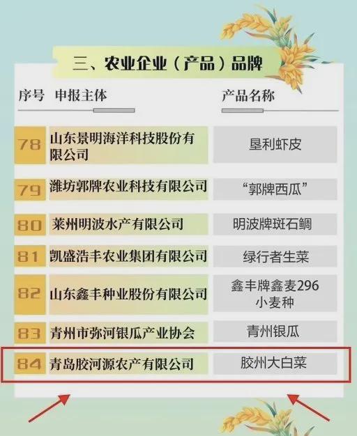 膠州大白菜 入選第三批 好品山東 農(nóng)業(yè)企業(yè) 產(chǎn)品 品牌
