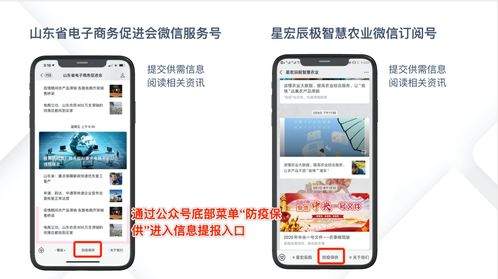 產銷對接周報丨山東生鮮農產品產銷對接平臺 第三周工作匯總