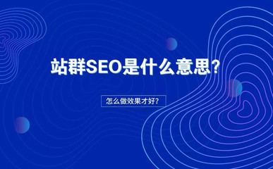 站群云分站SEO優化_站群云分站多IP服務器
